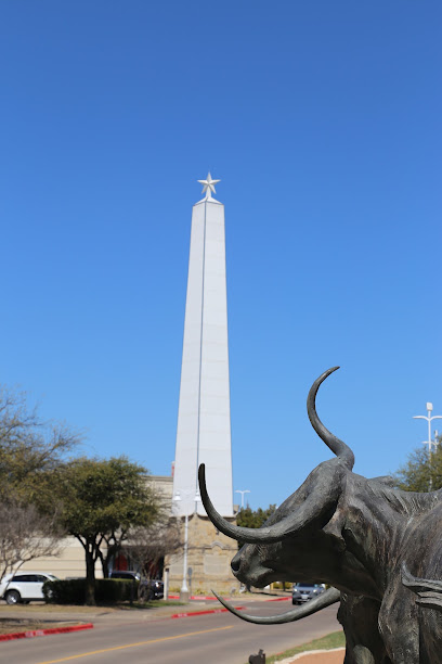 Frisco Bridges Dallas — photo 1