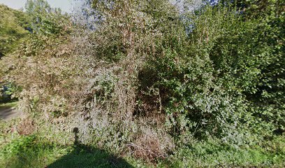 Beagles Bed & Breakfast — photo 1