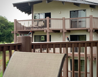 Ka eo kai hotel — photo 1
